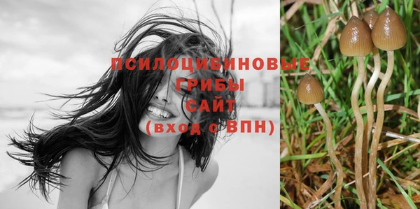 молекула духа Алзамай